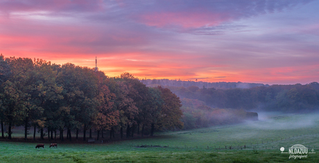 Mooiste zonsopkomst van deze herfst