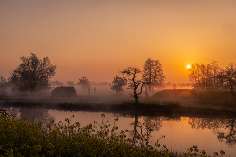 Een sfeervolle ochtend