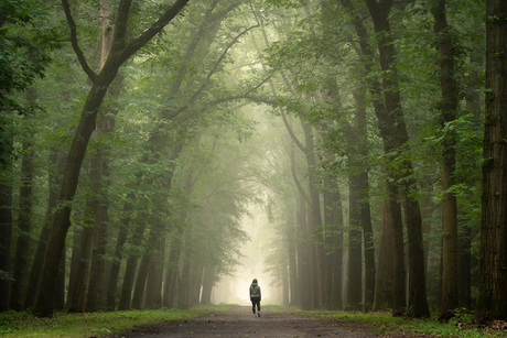 Een ochtend in September