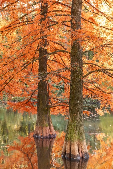 Kleurrijke herfst