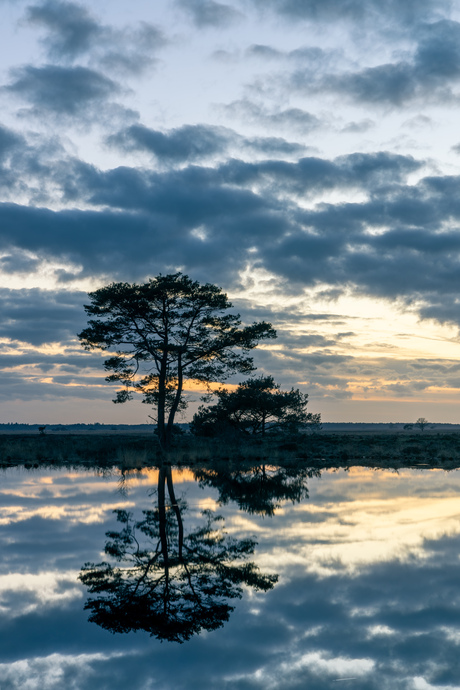 Het blauwe uurtje