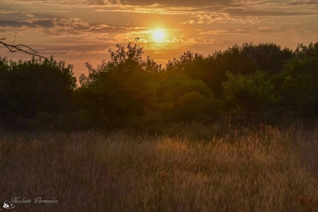 Avondlicht in Zeeland