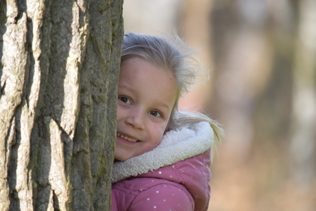 Mijn lieve boom