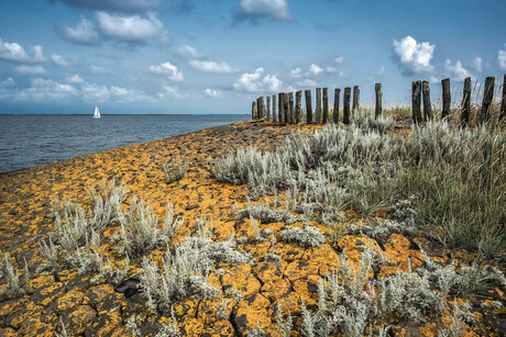 Langs de Oosterschelde