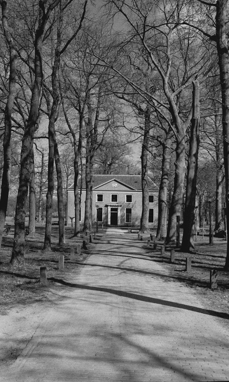 Analoog_Ilford_HP5