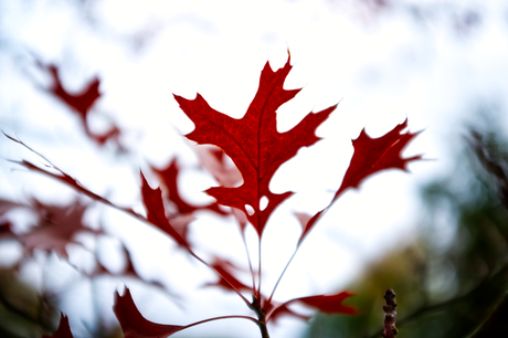 1e dag van fotografie (09-10-2025)