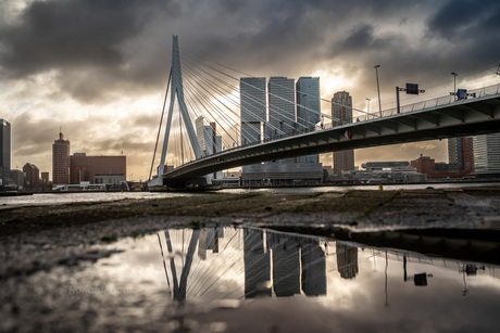 De Erasmusbrug in Rotterdam!