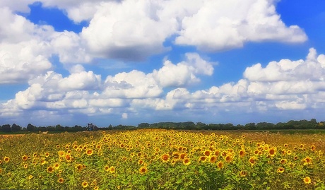 Onder de wolken schijnt de zon