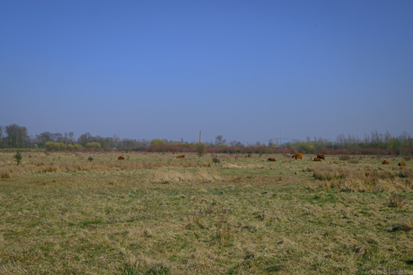 Winschoten 