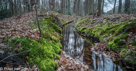 Lang het klompenpad vanaf "De Zwarte Boer" bij Ermelo