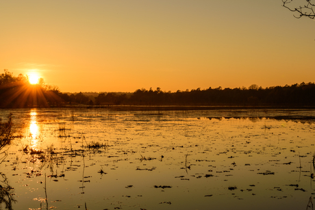 Zonsondergang Leersumse Veld