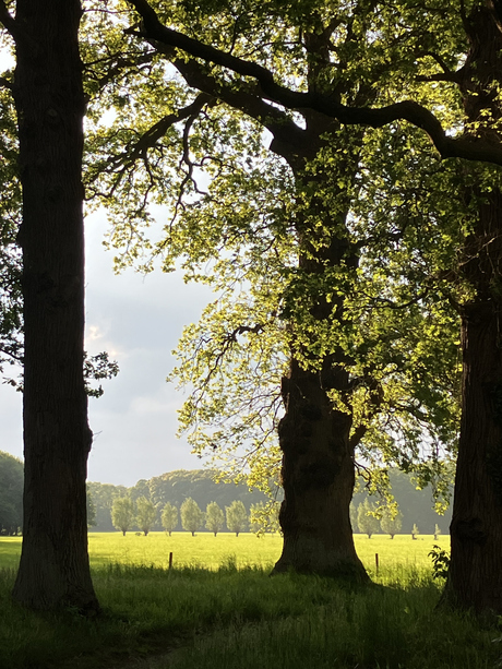 Doorkijkje 