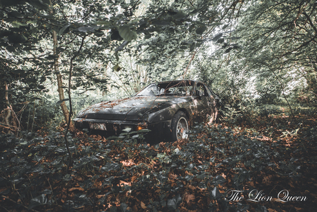 Lost in the Wilderness: The Forgotten Porsche in the Forest