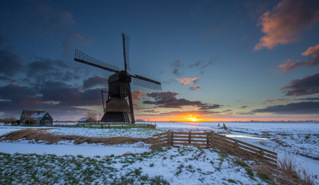 Hekje , molentje zonnetje en sneeuw