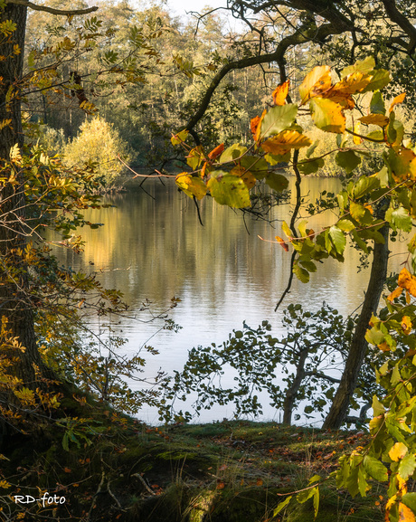 Herfst