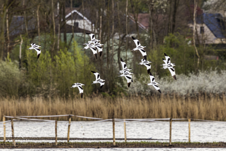 Tussen 2 regenbuien...