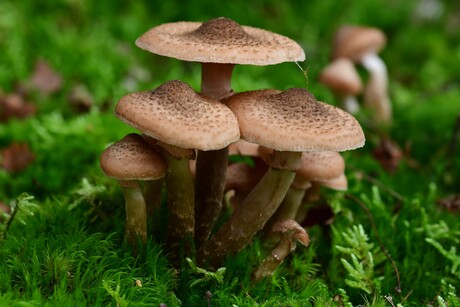 Samen staan we sterk 