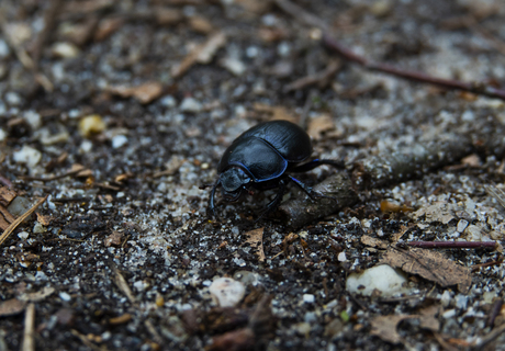 Sorry, dit takje is bezet