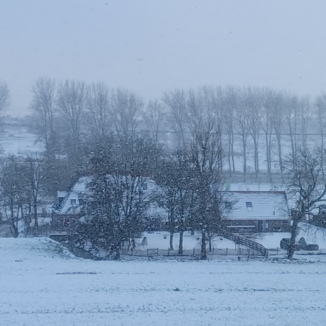 Winter. Verbeterde foto. 