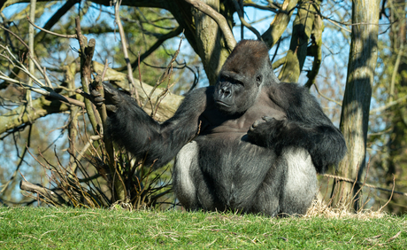 Dagje dierentuin GaiaZoo