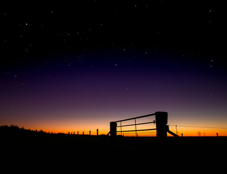 Weidehek in ochtendgloed