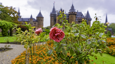 Herfst in de kasteeltuin