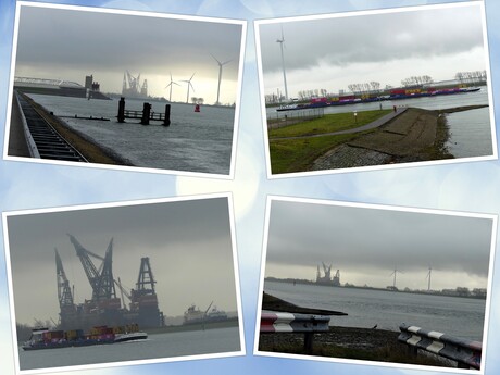 Collage  H v Holland   Nieuw Waterweg en Het Scheur  nabij Maeslandtkering 12 feb 2026  