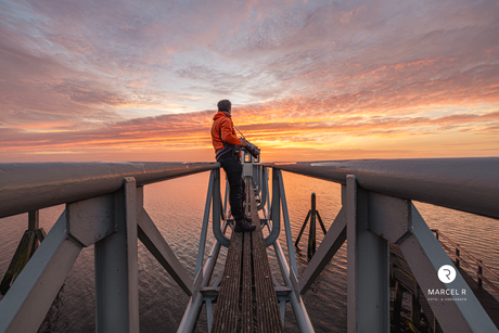 Genieten van de kleuren die de natuur je geeft 