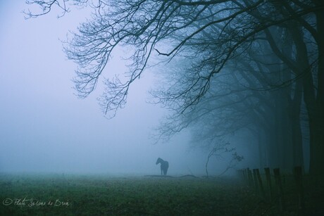 Paard in de mist 