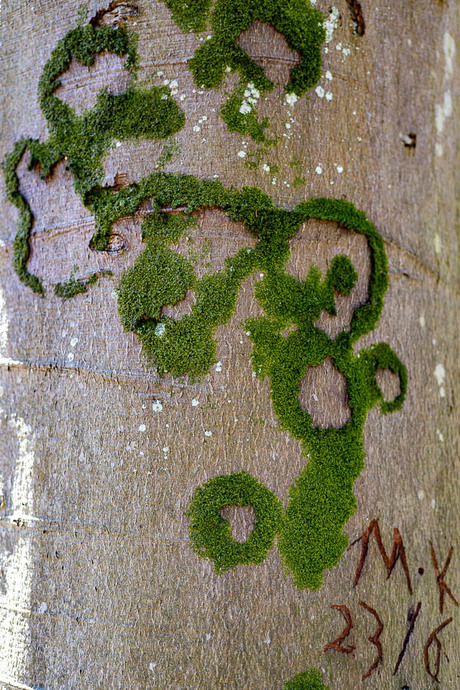 kunst van de natuur en een gek!