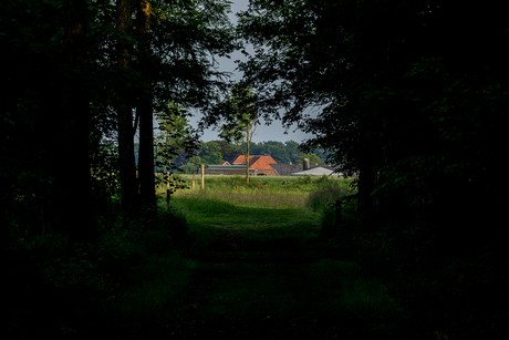 Het Brunsveld