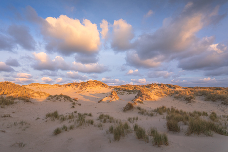 Duinen Terschelling
