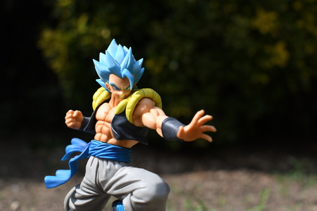 Cursus Foto Gogeta figurine