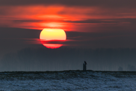 Koude zonsondergang