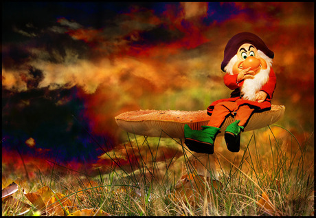paddenstoelen.........................
