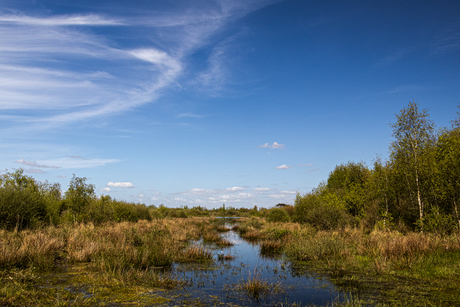 Veenplas Fochtelöerveen