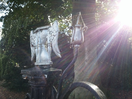 Hemels Licht ? 