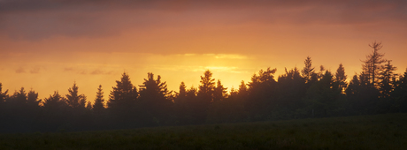 Zonsondergang in het Zwarte Woud