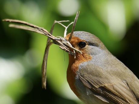 vroeg begonnen is half gewonnen