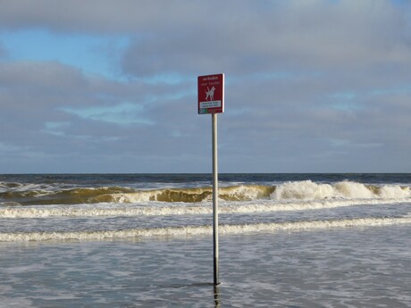 de tekkel sprak....zie je wel, ik mag niet op het strand