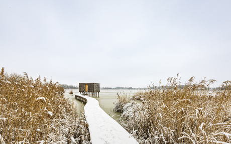 Het Vinne.3 (de vogelkijkhut)