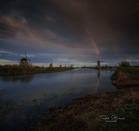 De dag van buien en regenbogen