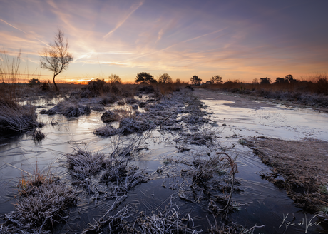 Morning ice