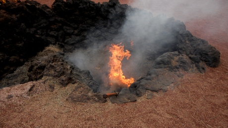 zelf ontbranding van droog gras op Lanzarote