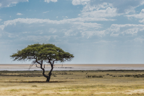 Etosha Pan