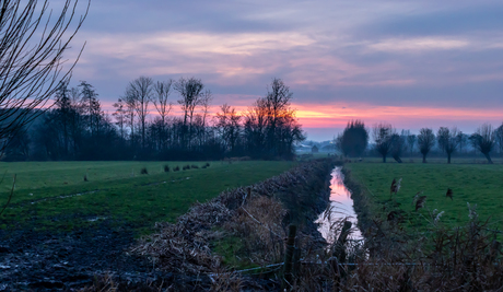 Laatste licht van de dag
