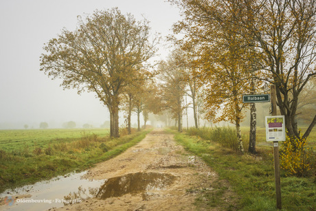 Herfst in het voormalige Fliegerhorst Havelte