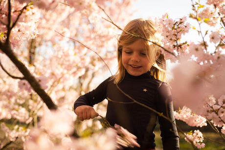 Blossom Fun