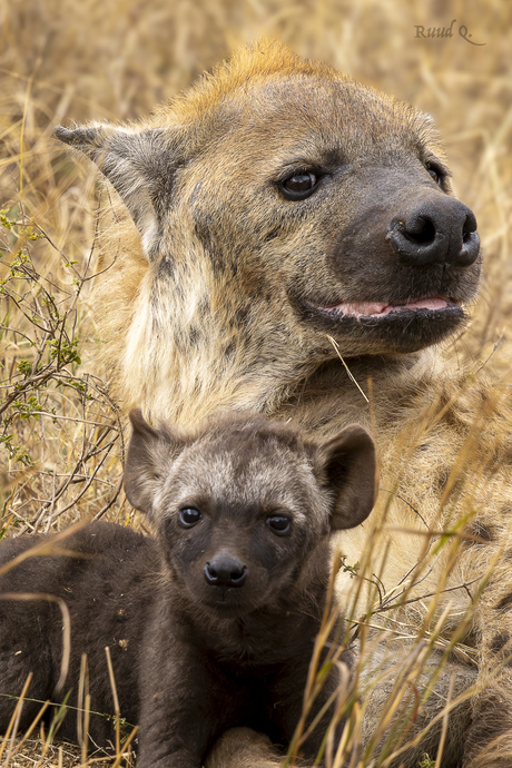 Proud mother