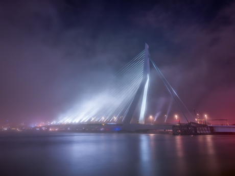 Fog in Rotterdam 